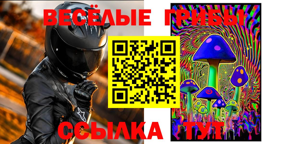 продажа наркотиков  Вход с VPN  Долгопрудный  Псилоцибиновые грибы MAGIC MUSHROOMS 