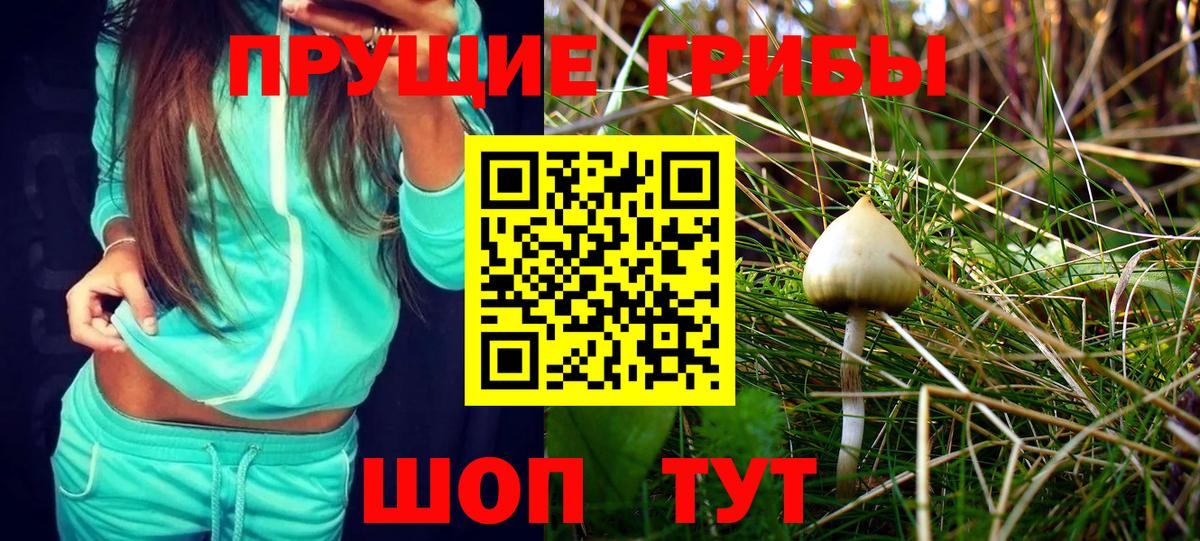 Псилоцибиновые грибы прущие грибы Долгопрудный