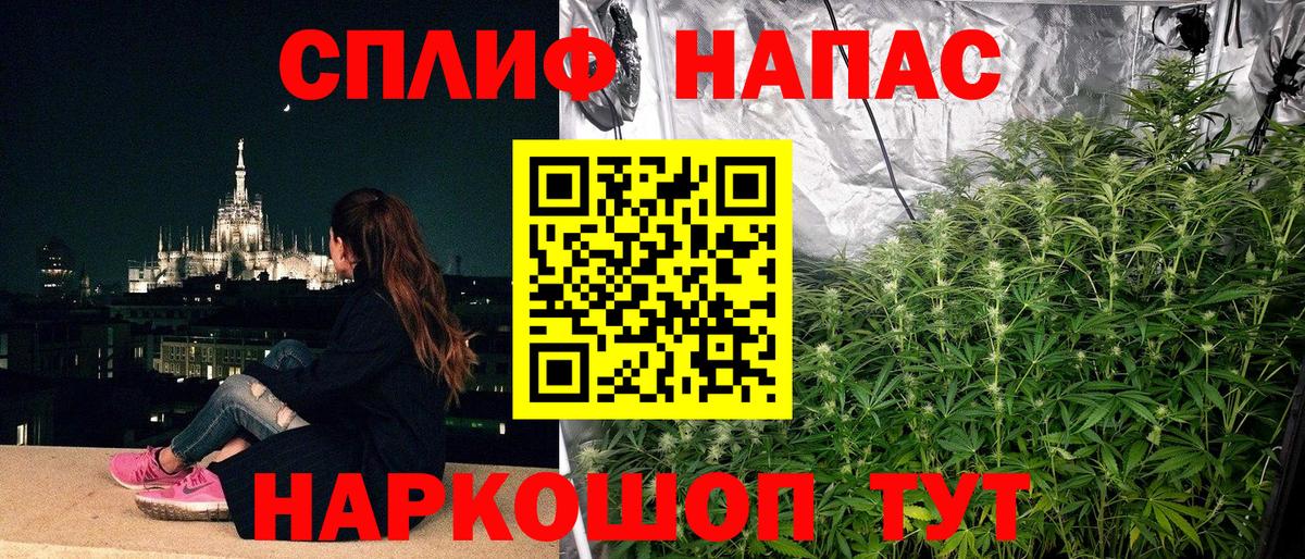 Каннабис MAZAR  Вход с VPN  Конопля VHQ  Долгопрудный 